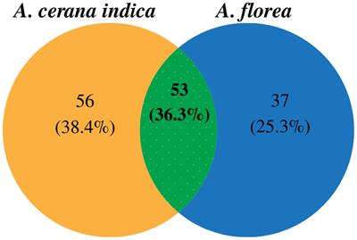 Gut microbial diversity in Apis cerana indica and Apis florea colonies: a comparative study